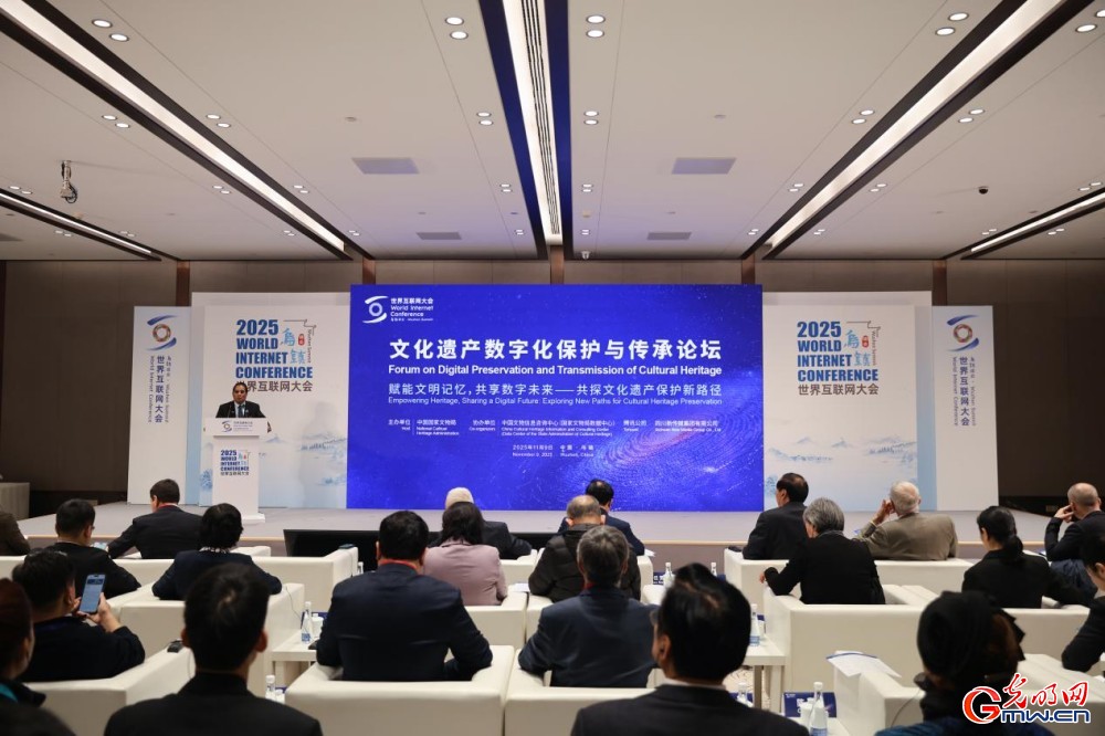 透过乌镇看世界,携手走向数智未来——来自2025年世界互联网大会乌镇峰会的观察