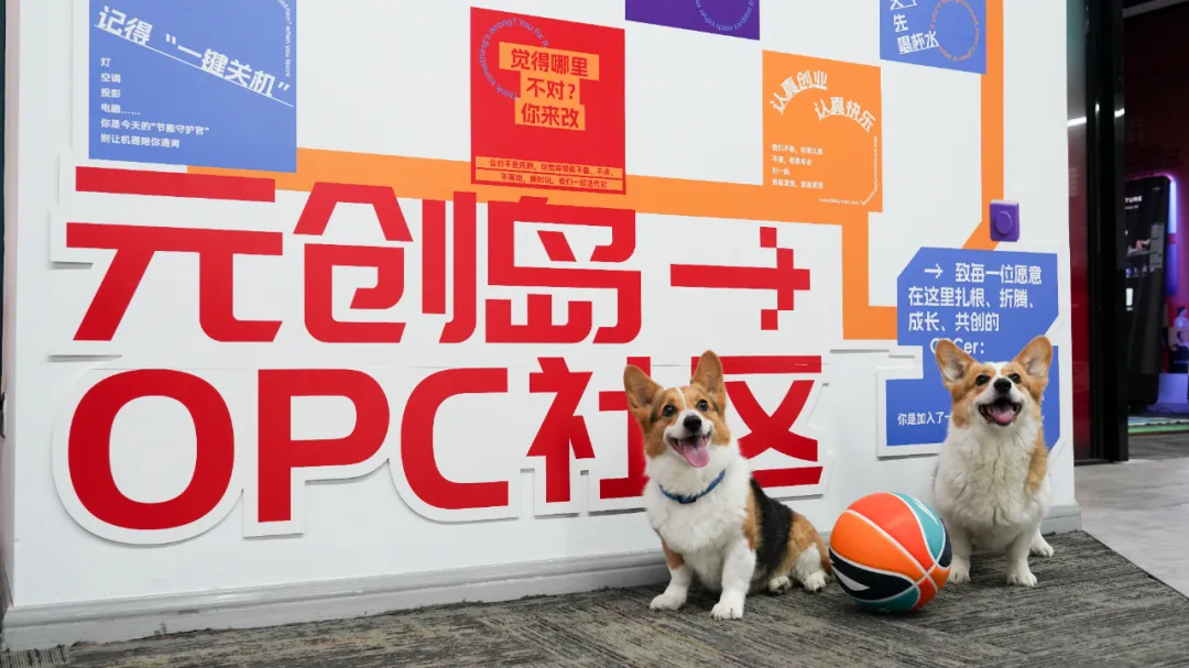 成都高新区数字技能人才培训计划发布!